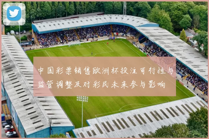 中国彩票销售欧洲杯投注可行性与监管调整及对彩民未来参与影响