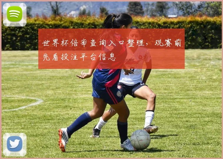 世界杯倍率查询入口整理，观赛前先看投注平台信息