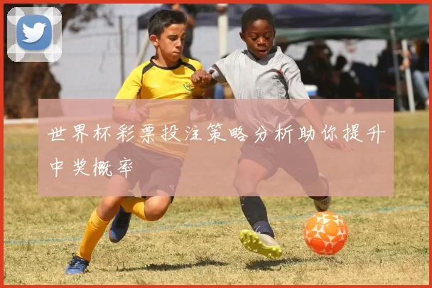 世界杯彩票投注策略分析助你提升中奖概率