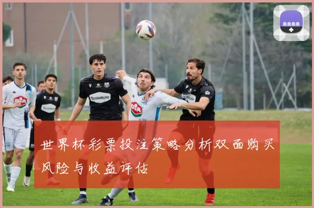 世界杯彩票投注策略分析双面购买风险与收益评估